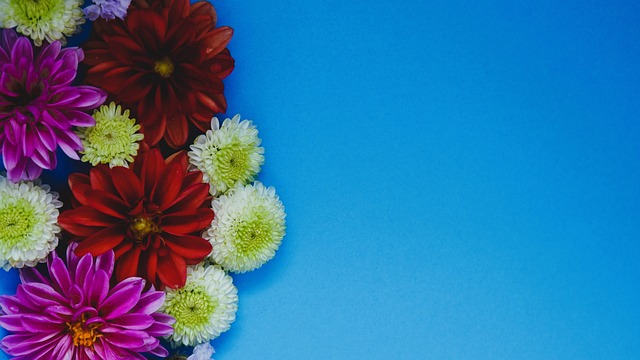 每场比赛都 每场比赛都