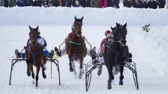 品牌的合作 品牌的合作