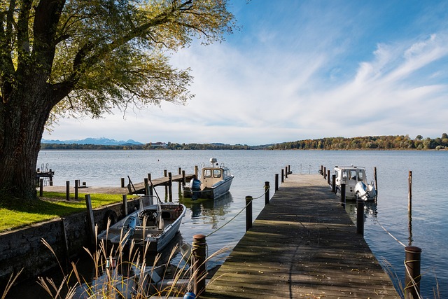 奇还是浓眉 奇还是浓眉