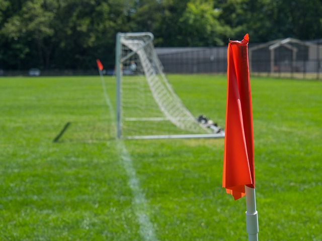 和布鲁诺 和布鲁诺