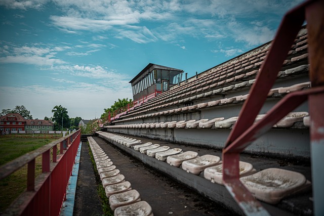效的表现 效的表现