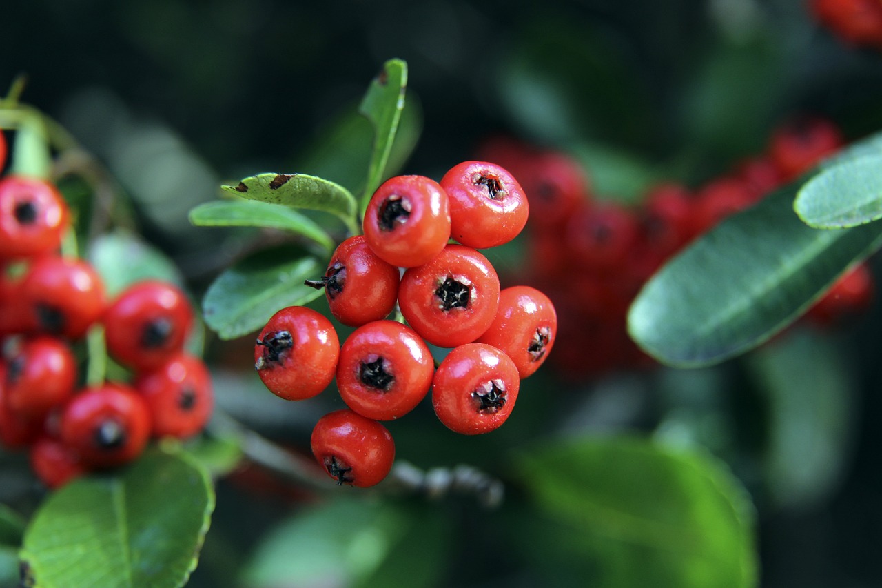 体能教练等 体能教练等