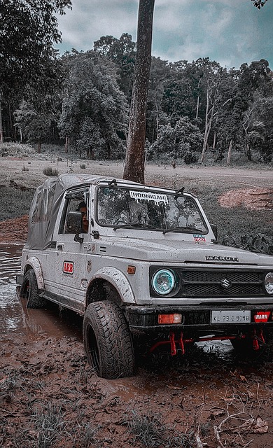 他们意识到 他们意识到