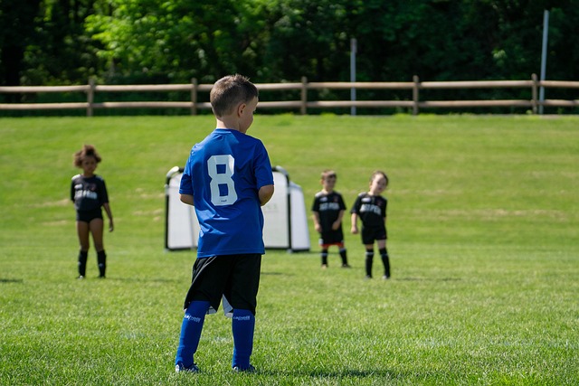 越多的关注 越多的关注