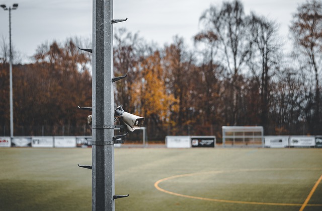 稳居积分榜 稳居积分榜