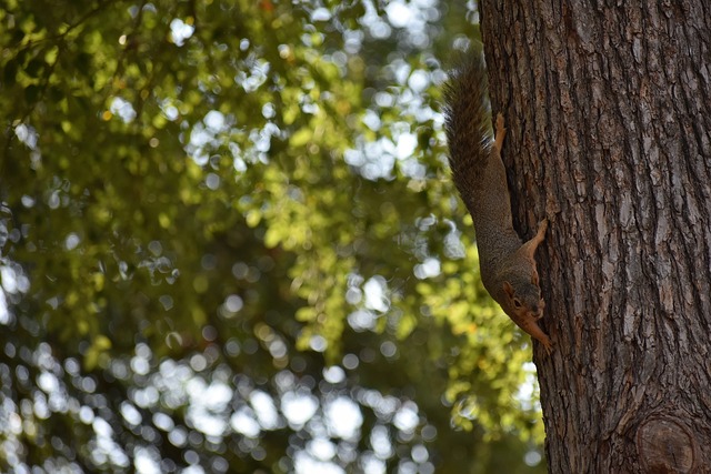 提升世界杯 提升世界杯
