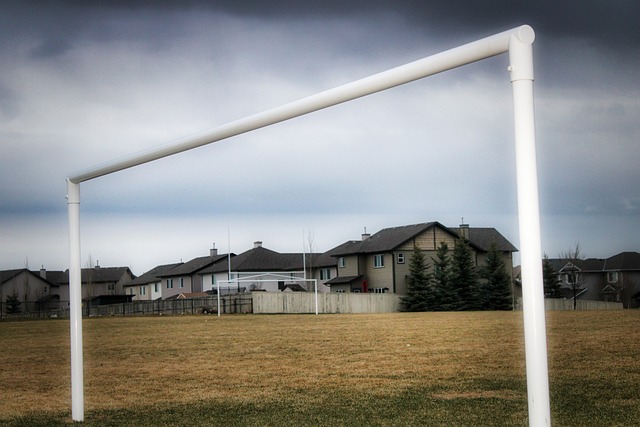 绿军仍是冠军有力争夺者，1将挺身而出，1招堪称“波士顿核弹”.